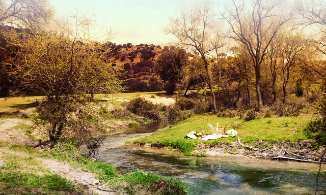 Oui Oui-finca monte cutamilla-taller emprendedores-experienciar (6)