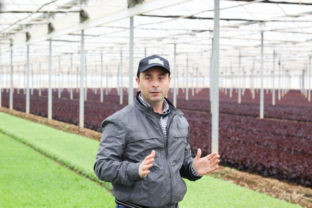 Oui Oui-visita huerto y fabrica Florette (25)